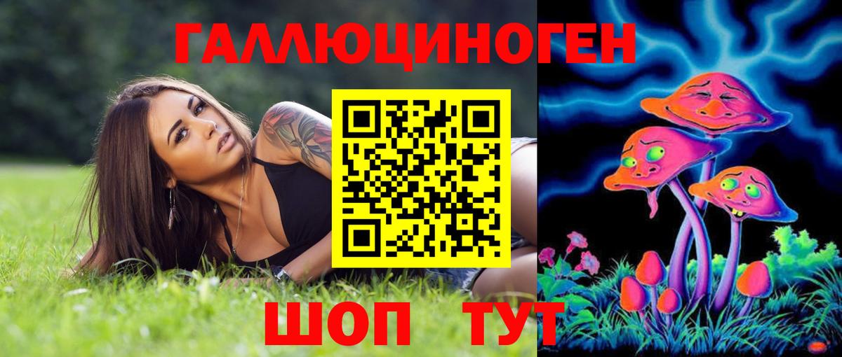 Галлюциногенные грибы Magic Shrooms  Псилоцибиновые грибы мухоморы  Кудрово  Вход с VPN 