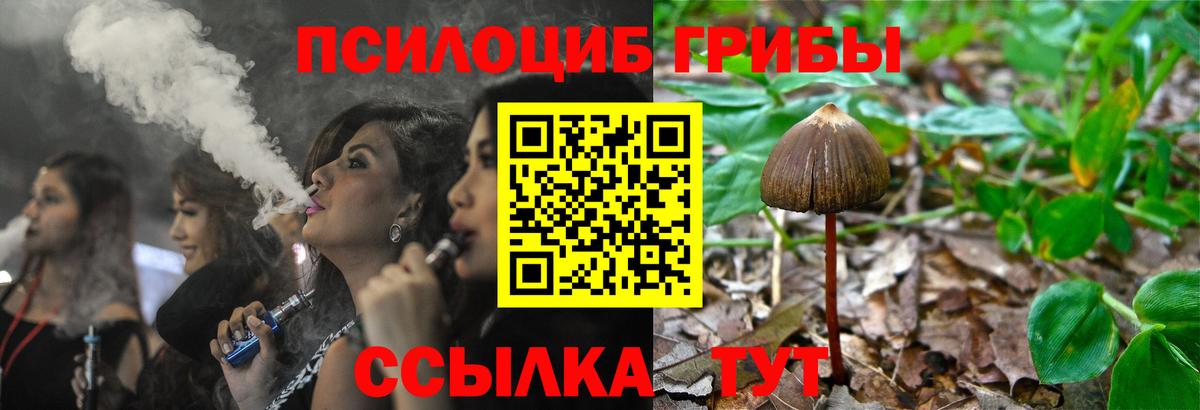 Галлюциногенные грибы Psilocybine cubensis Кудрово